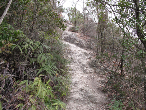 20140125hike (408)